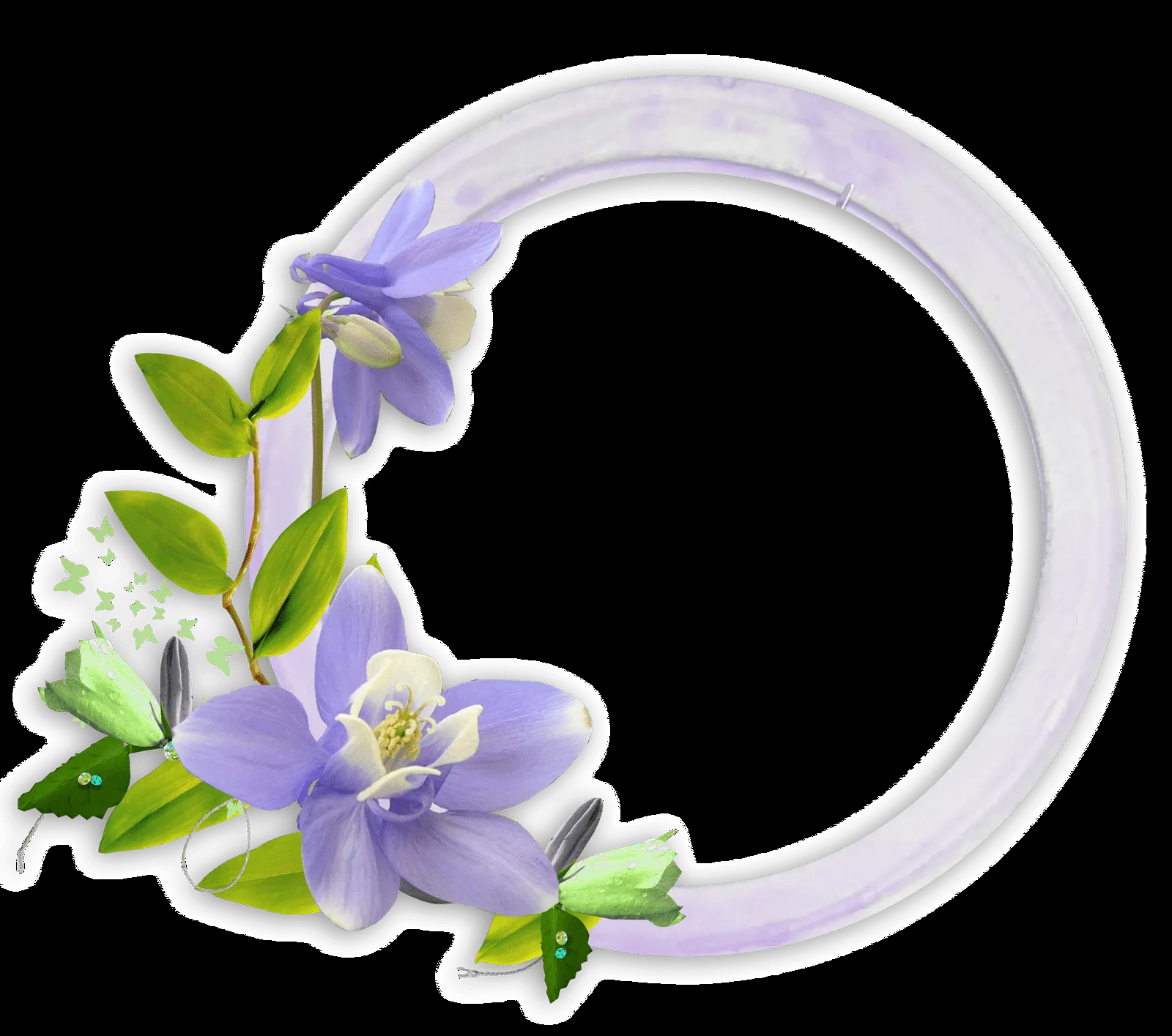 Arte digital: Marcos florales png