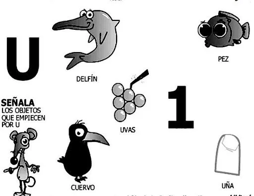Palabras con la letra u - Imagui