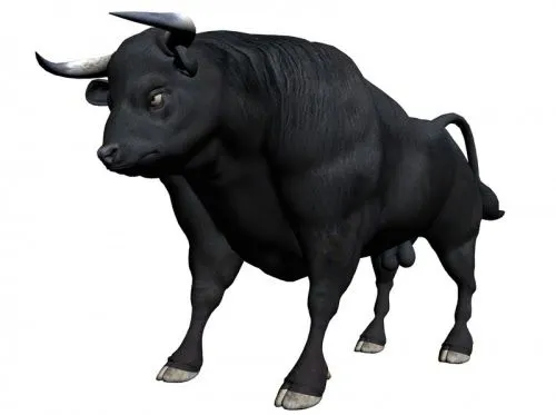 DIBUJOS DE TOROS brabos - Imagui