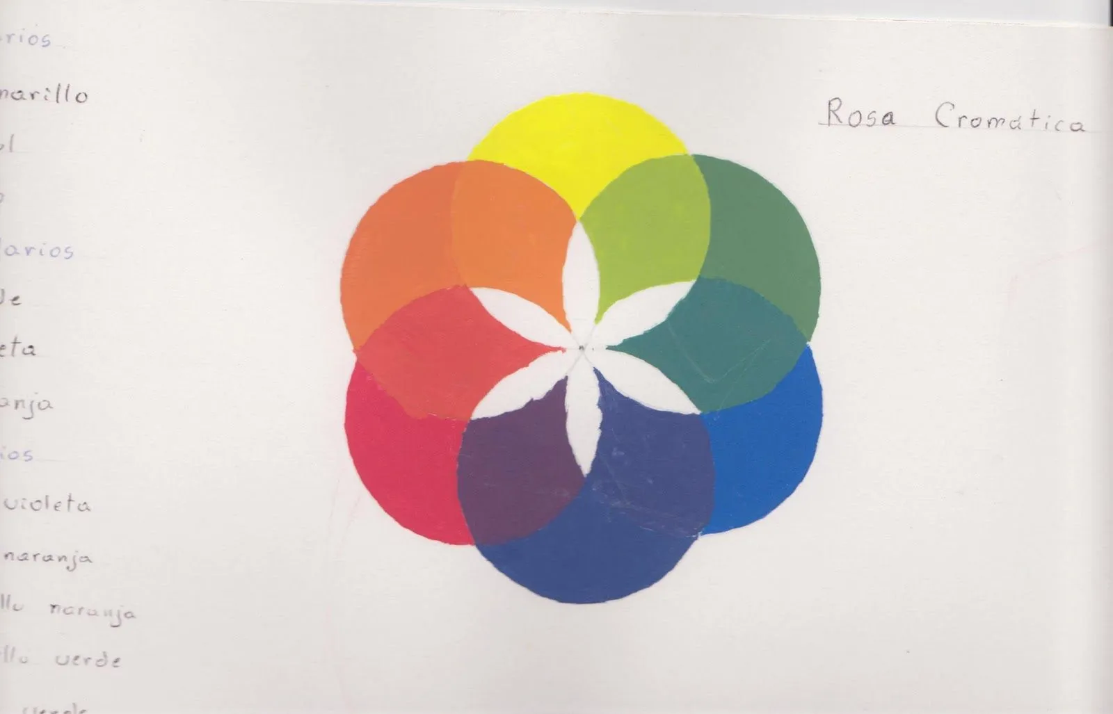 ARTE GRAFICO: ROSA CROMATICA