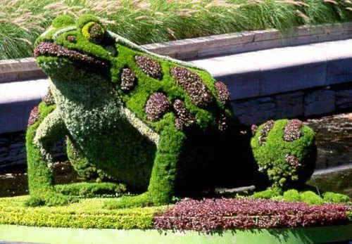 ARTE Y JARDINERÍA DISEÑO DE JARDINES.