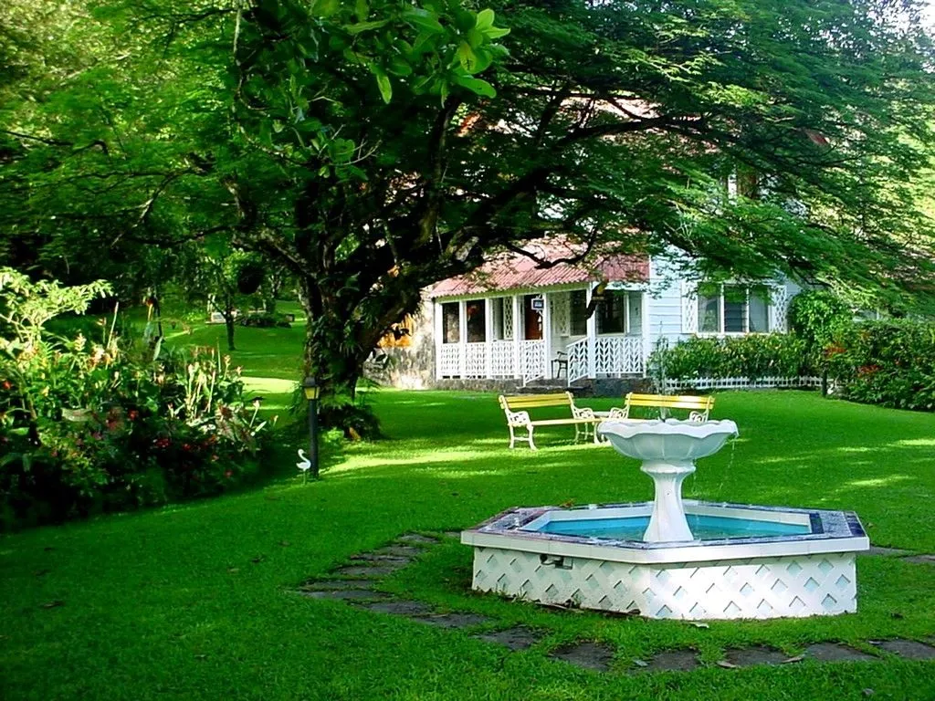 ARTE Y JARDINERÍA DISEÑO DE JARDINES: Los árboles en el jardín ARTE Y JARDINERÍA DISEÑO DE JARDINES: Los árboles en el jardín