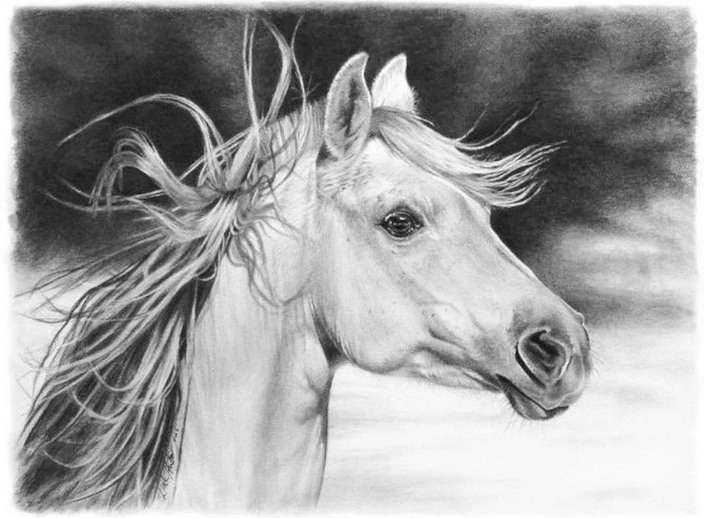 Cuadros de Pinturas: Dibujos de Animales, Lápiz Sobre Papel Cuadros de Pinturas: Dibujos de Animales, Lápiz Sobre Papel
