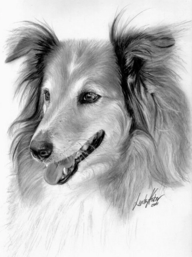 Cuadros de Pinturas: Dibujos de Animales, Lápiz Sobre Papel Cuadros de Pinturas: Dibujos de Animales, Lápiz Sobre Papel