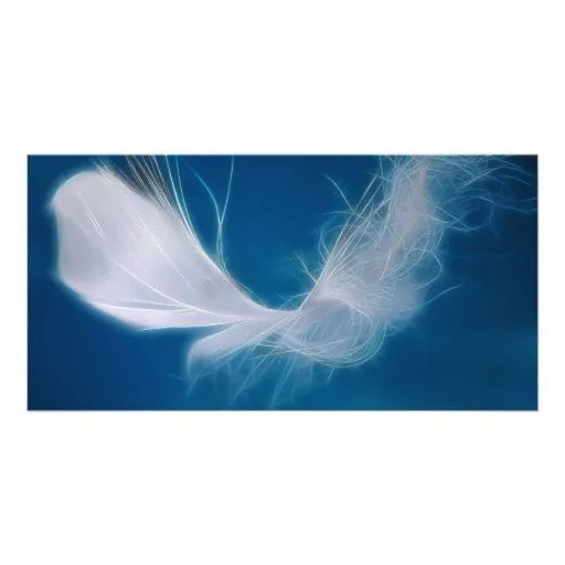 Arte de la pluma blanca - símbolo de la pureza y d tarjeta ... Arte de la pluma blanca - símbolo de la pureza y d tarjeta ...