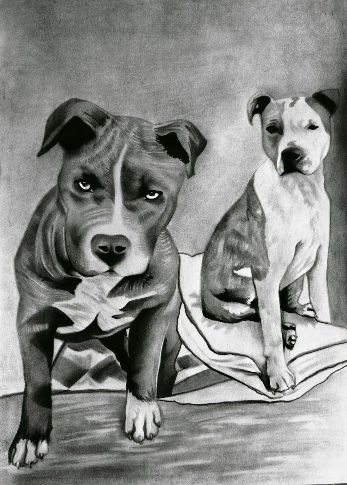 El arte de Verónica: Dibujo a lápiz de 2 pitbulls El arte de Verónica: Dibujo a lápiz de 2 pitbulls