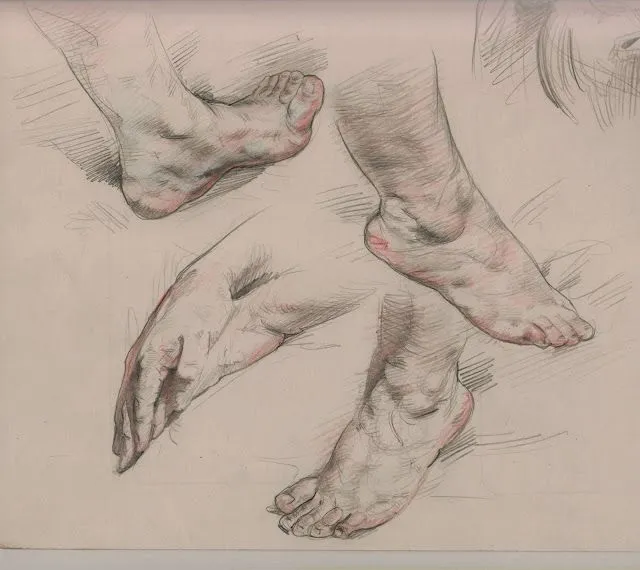 ARTEFIGURA: DIBUJO REALISTA: DIBUJOS ANATOMICOS