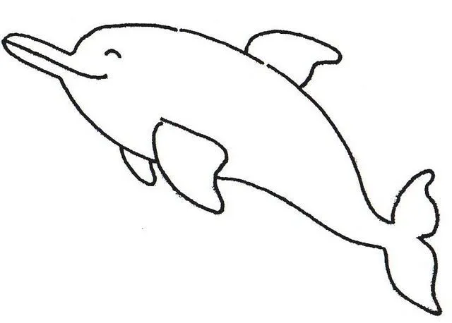 Artes Pedagógicas: Animais marinhos
