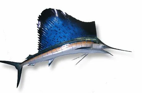 Artes de Pesca: VAMOS A PESCAR PEZ VELA