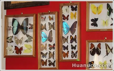 Artesanía de Huanuco | Cultura, arte y creatividad