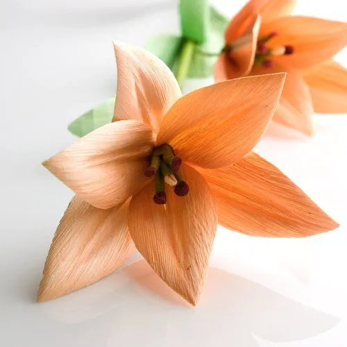Flores de hoja de maiz - Imagui