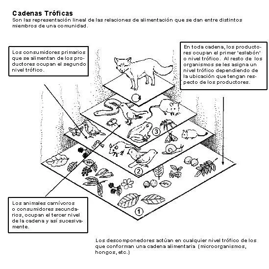 articles-59967_imagen_0.gif (549×549) | Science fair projects, Science fair, Fair projects articles-59967_imagen_0.gif (549×549) | Science fair projects, Science fair, Fair projects