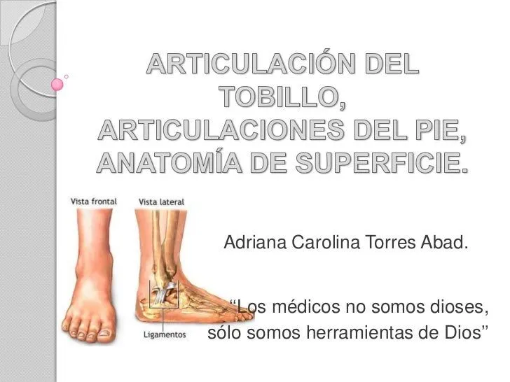 Articulación del tobillo y pie