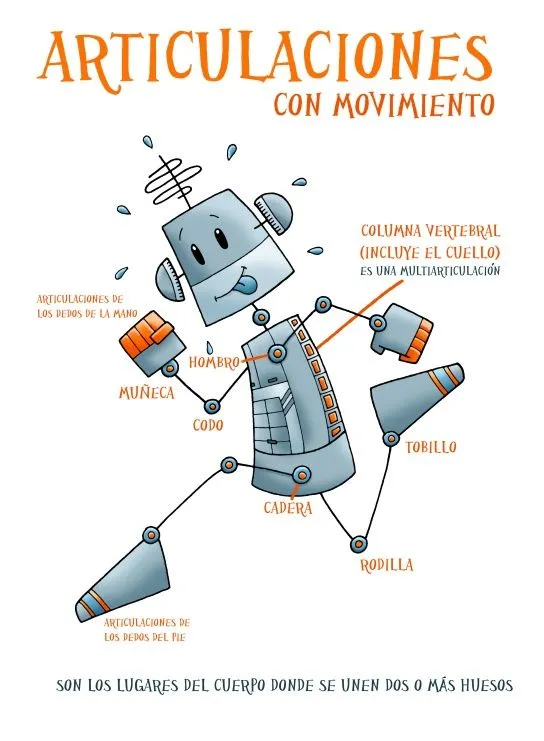 articulaciones para niños imprimible | medi | Pinterest articulaciones para niños imprimible | medi | Pinterest