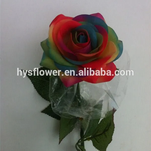 Artificial latex real touch rosas del arco iris, real conservado ...