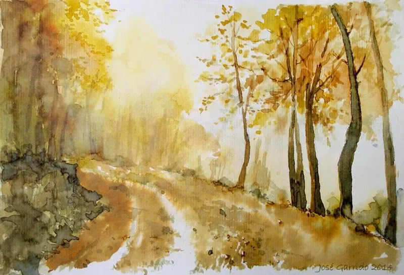 Artimañas: ÁRBOLES: Tintas, bistre, nogalina y acuarela