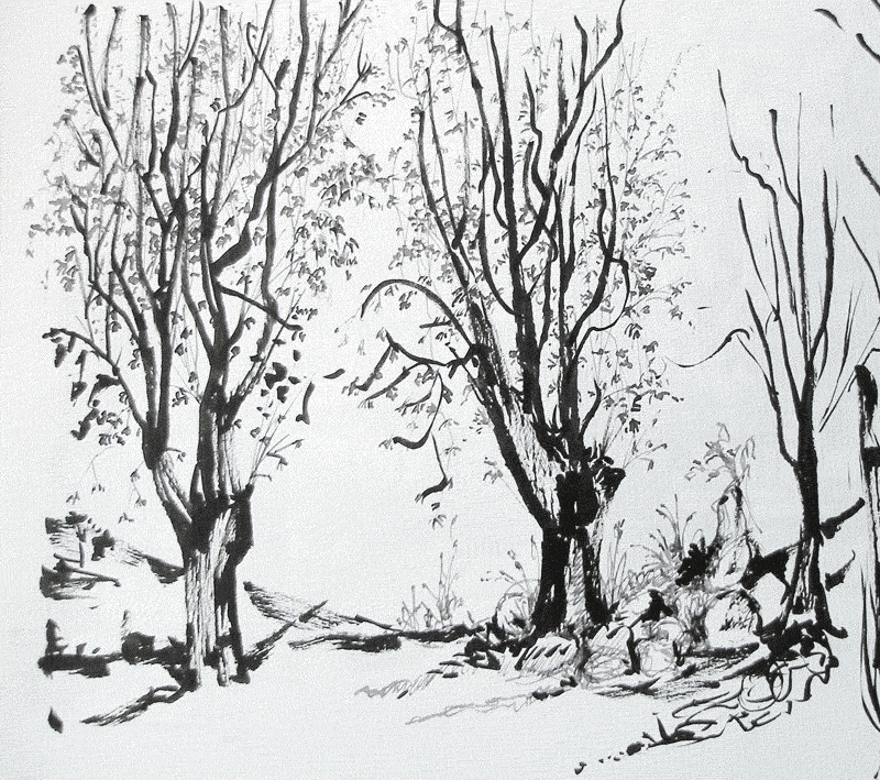 Artimañas: DIBUJANDO ÁRBOLES - Pluma - Pincel -Tintas - Acuarelas - Artimañas: DIBUJANDO ÁRBOLES - Pluma - Pincel -Tintas - Acuarelas -