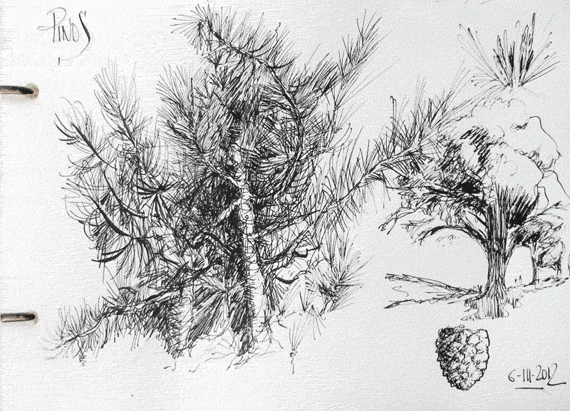 Artimañas: DIBUJANDO ÁRBOLES - Pluma - Pincel -Tintas - Acuarelas -1- Artimañas: DIBUJANDO ÁRBOLES - Pluma - Pincel -Tintas - Acuarelas -1-