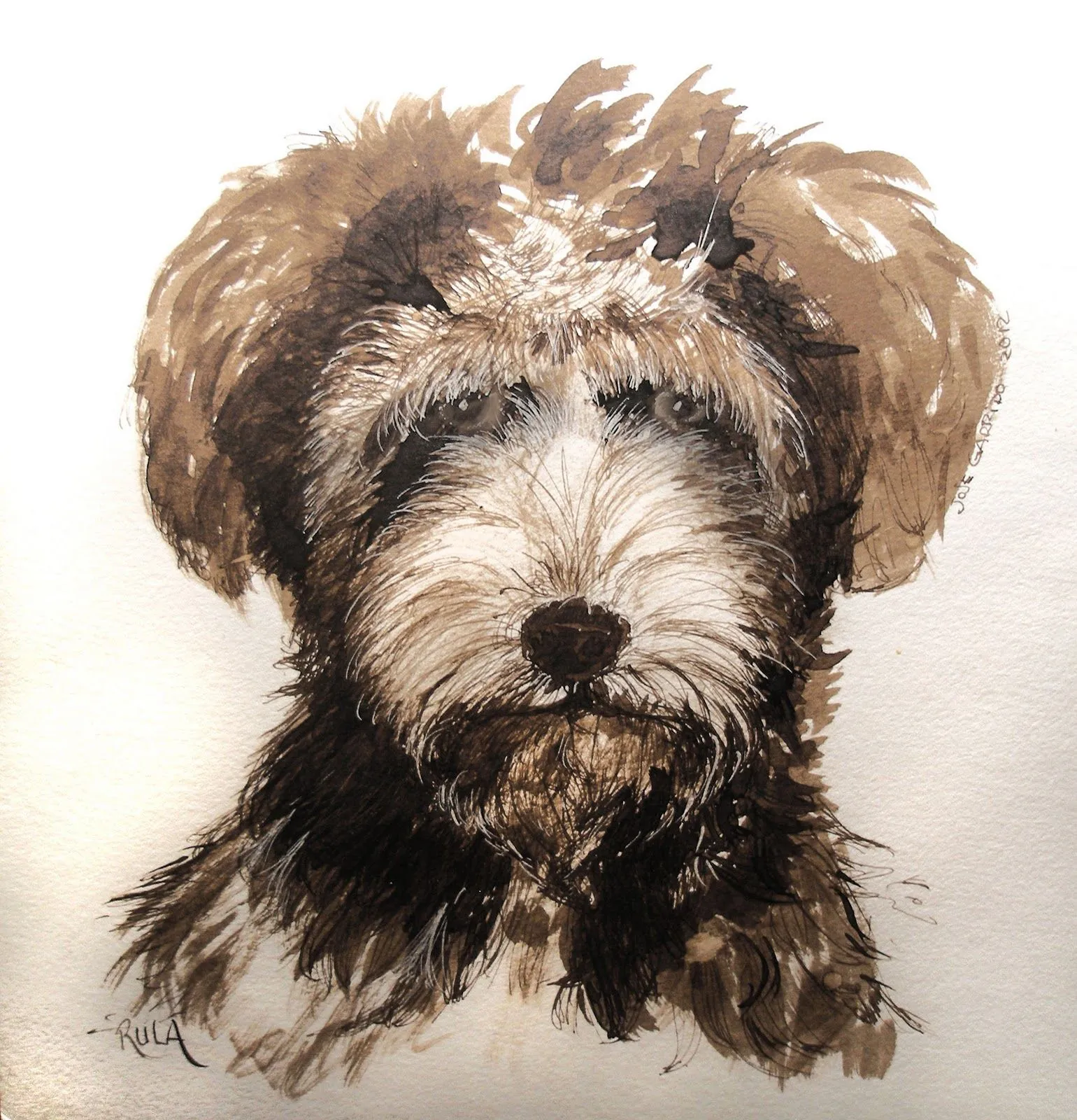 Imagenes • Como dibujar animales tiernos