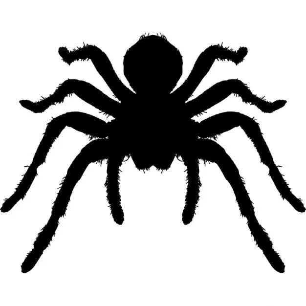 Artrópodos tarántula animales silueta | Descargar Iconos gratis Artrópodos tarántula animales silueta | Descargar Iconos gratis
