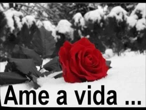 As mais lindas poesias,frases e mensagens do facebook - YouTube As mais lindas poesias,frases e mensagens do facebook - YouTube