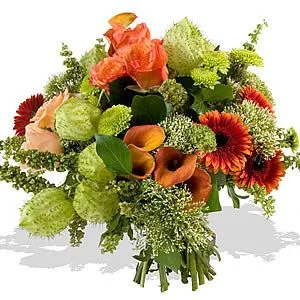 todas as minhas madrinhas e afilhadas - Fatucha todas as minhas madrinhas e afilhadas - Fatucha