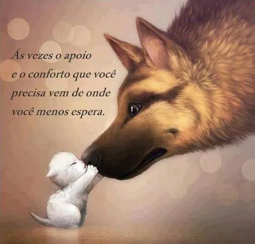 Às vezes o apoio e o conforto que você precisa vem de onde você ...