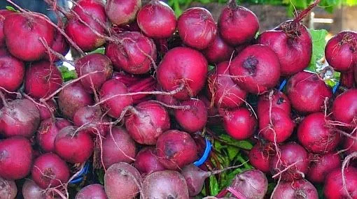 Asociación Casa de Perú en las Pitiusas: Tomar jugo de betarraga ...