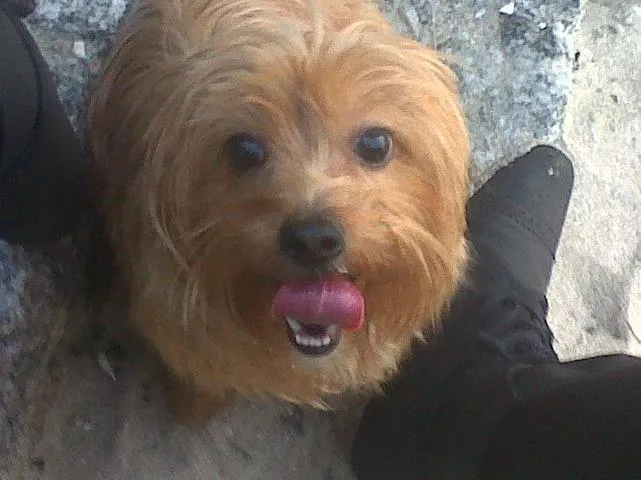 ASOCIACION COORDINADORA PROTECTORAS PROVINCIA PONTEVEDRA: mayo 2012