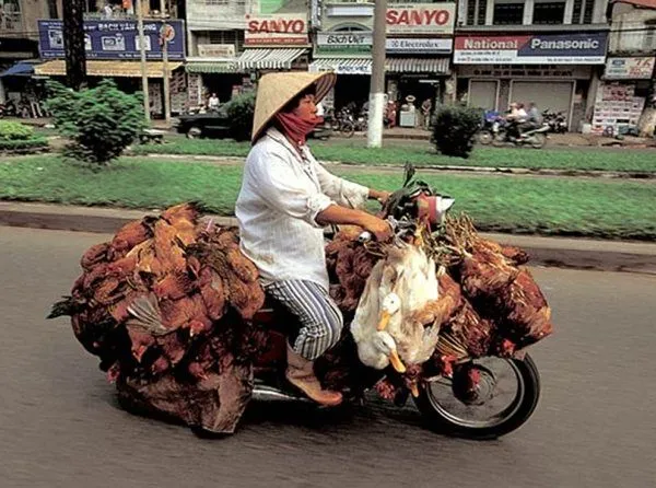 ASOCIACIÓN MUTUA MOTERA: HUMOR en MOTO: Fui a por patos y me ...