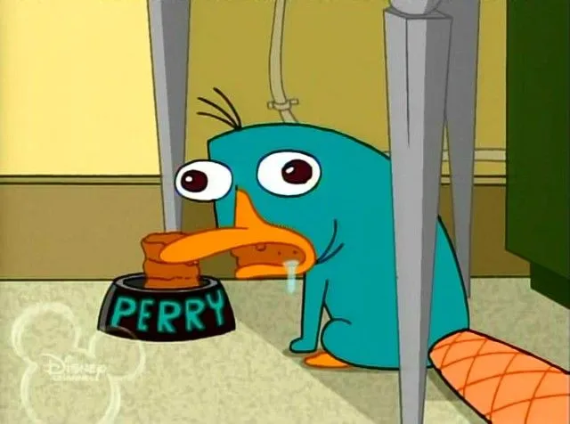 Perry el ornitorrinco ojos - Imagui