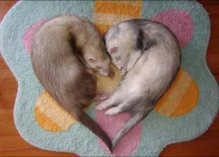 Un asunto de vida o muerte taringueros ! - Taringa!