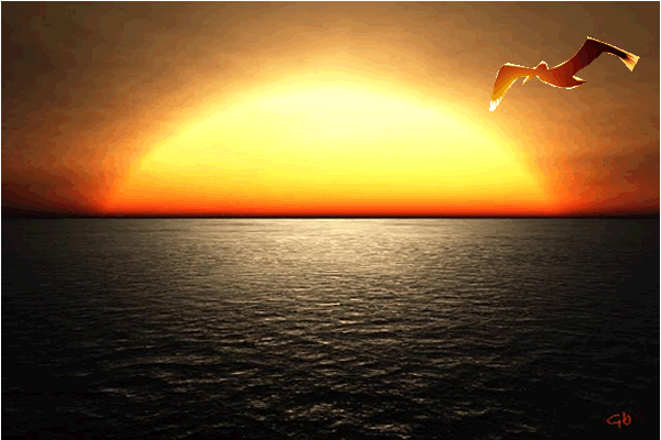 Atardecer GIF ANIMADO - Imagui
