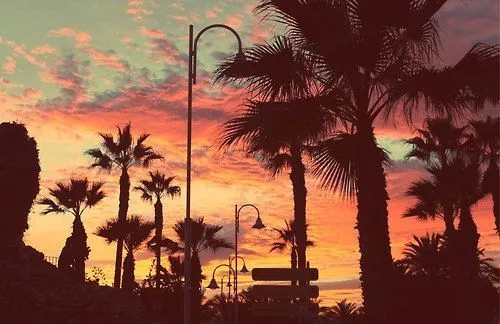 Atardecer playa palmeras | Lo mas lindo | Pinterest | Palms