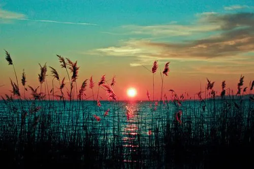 Atardecer | Tumblr