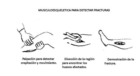 Atlas de medicina forense (página 2) - Monografias.com Atlas de medicina forense (página 2) - Monografias.com