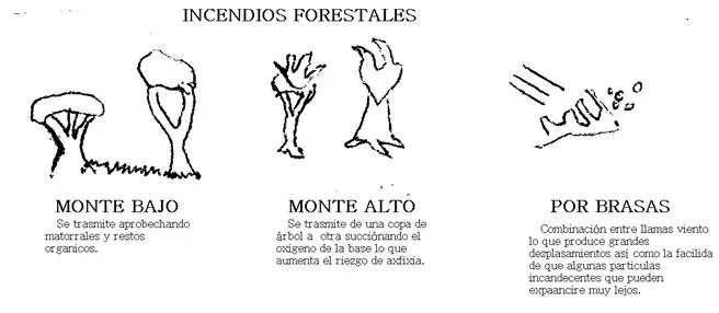 Atlas de medicina forense (página 3) - Monografias.com Atlas de medicina forense (página 3) - Monografias.com