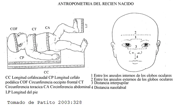 Atlas de medicina forense (página 3) - Monografias.com Atlas de medicina forense (página 3) - Monografias.com