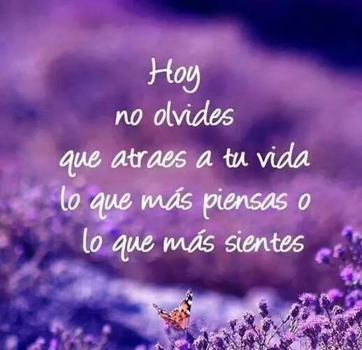 Atrae buena vibra | Pensamientos, frases lindas y positivas ... Atrae buena vibra | Pensamientos, frases lindas y positivas ...