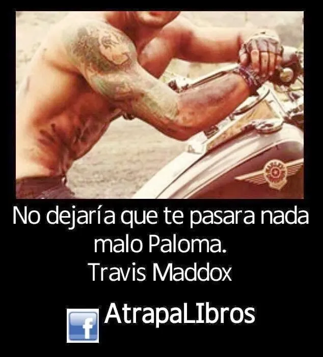Atrapalibros: Maravilloso Desastre, Frases