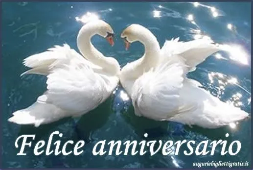 Auguri per anniversario di matrimonio con cigni