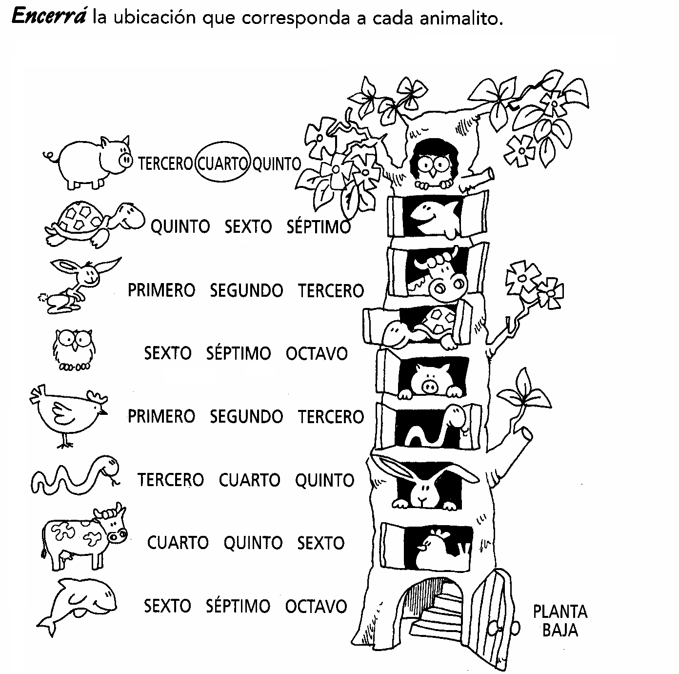 Aula Seño Sory...: Números ordinales