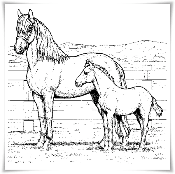 Ausmalbilder Horseland Kostenlos | Pictures To Color and Print