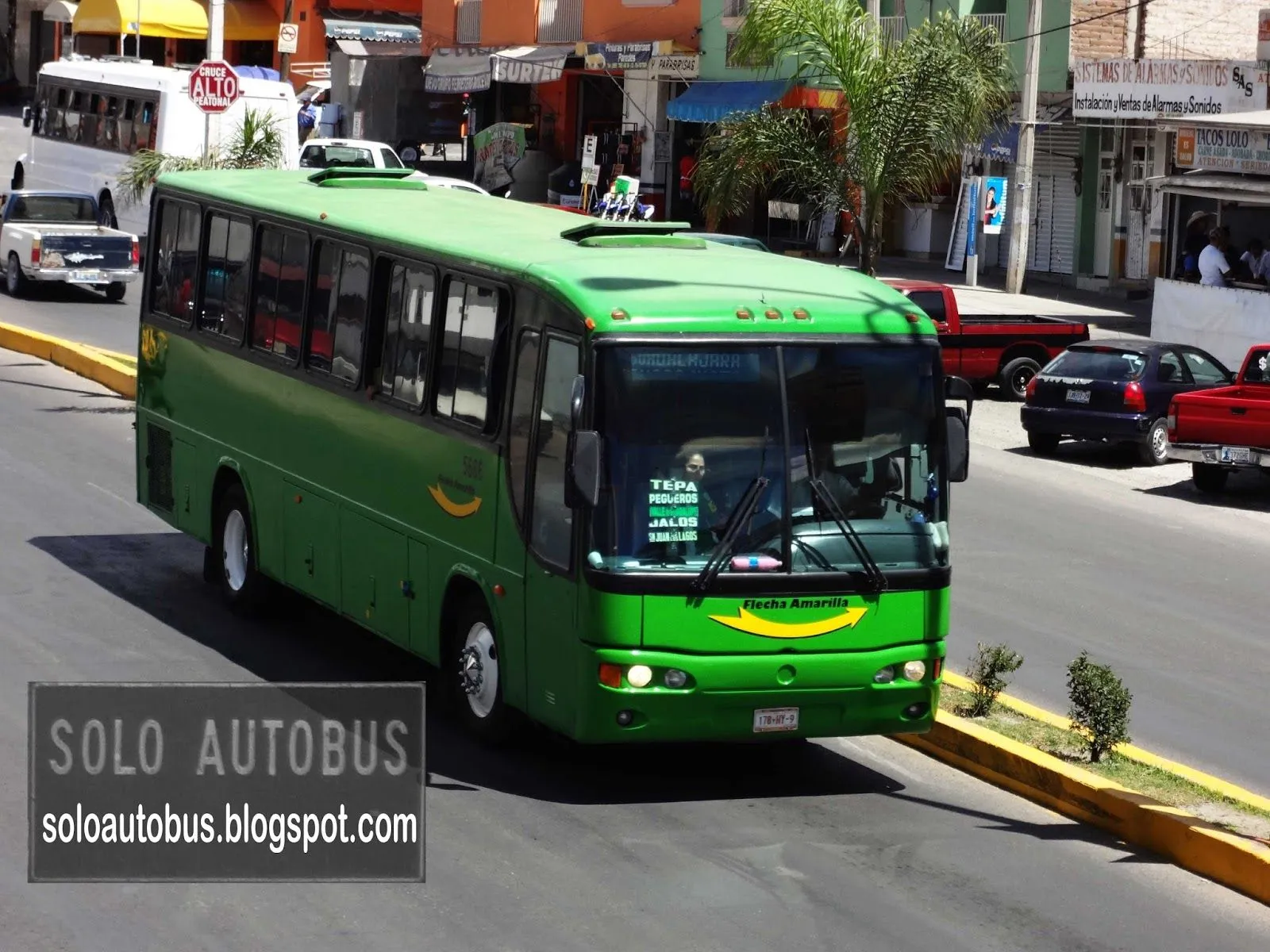 SOLO AUTOBUS: Flecha Amarilla