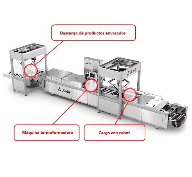Automatización de carga a Termoformado / Termosellado — ULMA Packaging