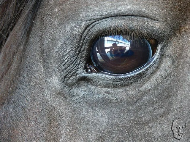Autorretrato | fotos de Creación y fotomontajes