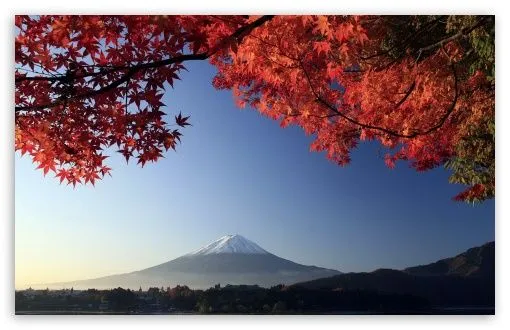 Autumn, Mount Fuji, Japan HD desktop wallpaper : High Definition ...