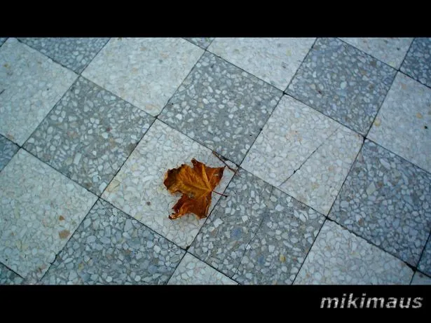 MikiMaus (Fran) on deviantART MikiMaus (Fran) on deviantART