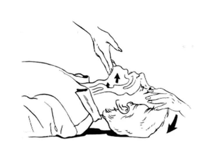 Primeros Auxilios y más.