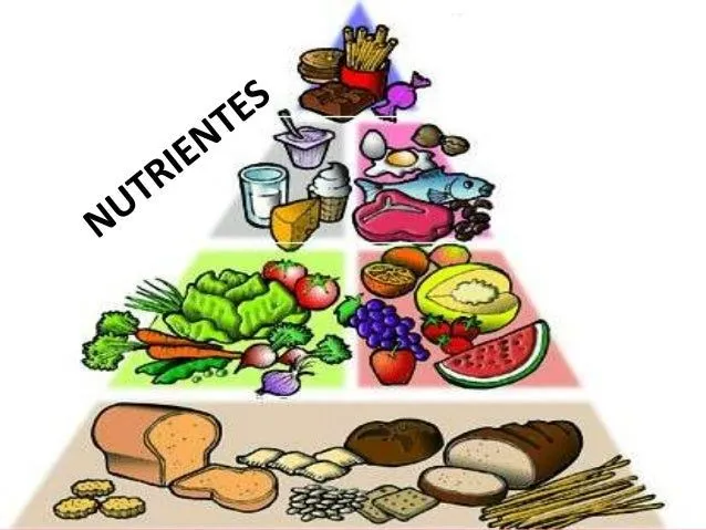 PRIMEROS AUXILIOS: octubre 2014